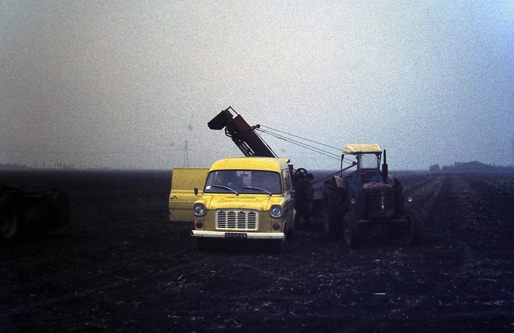 foto